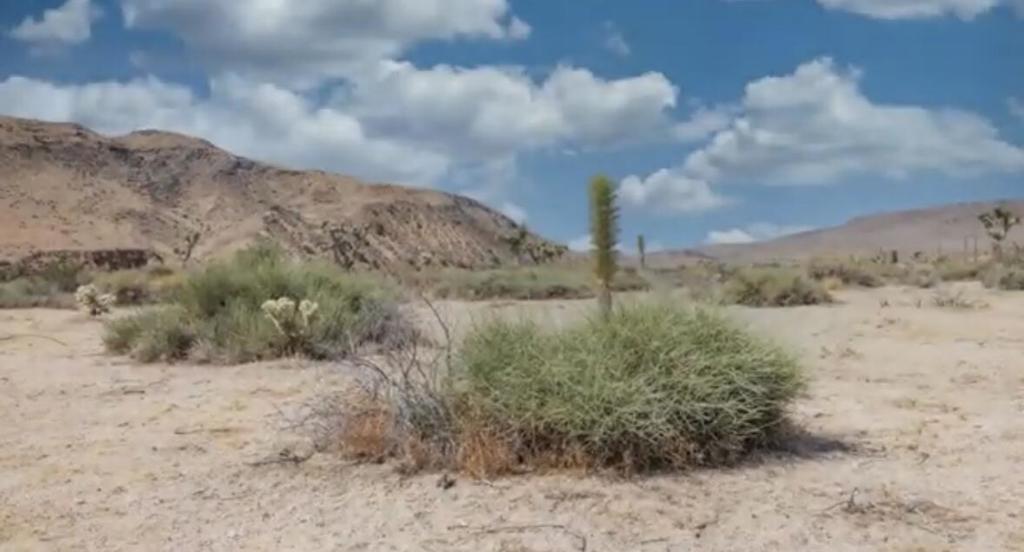 MLS #219125707DA image #31