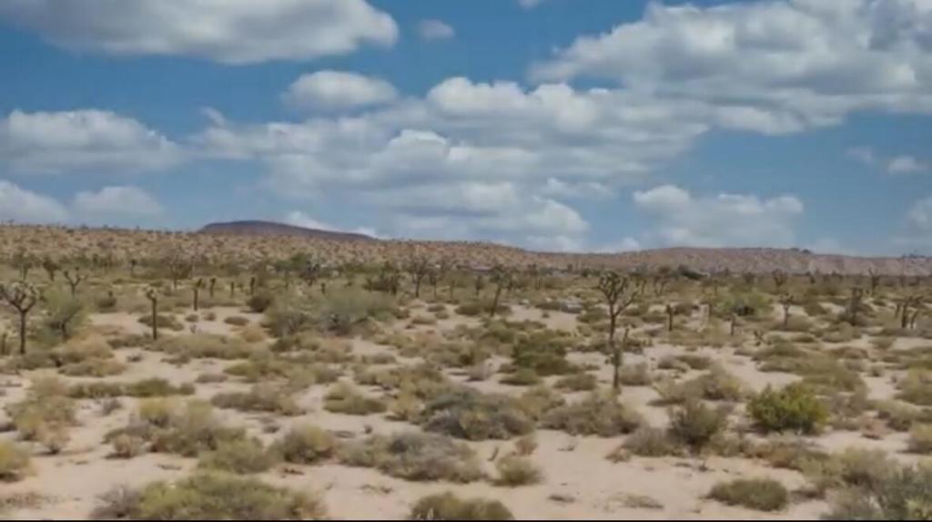 MLS #219125707DA image #33