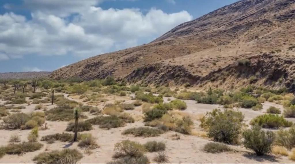 MLS #219125707DA image #35