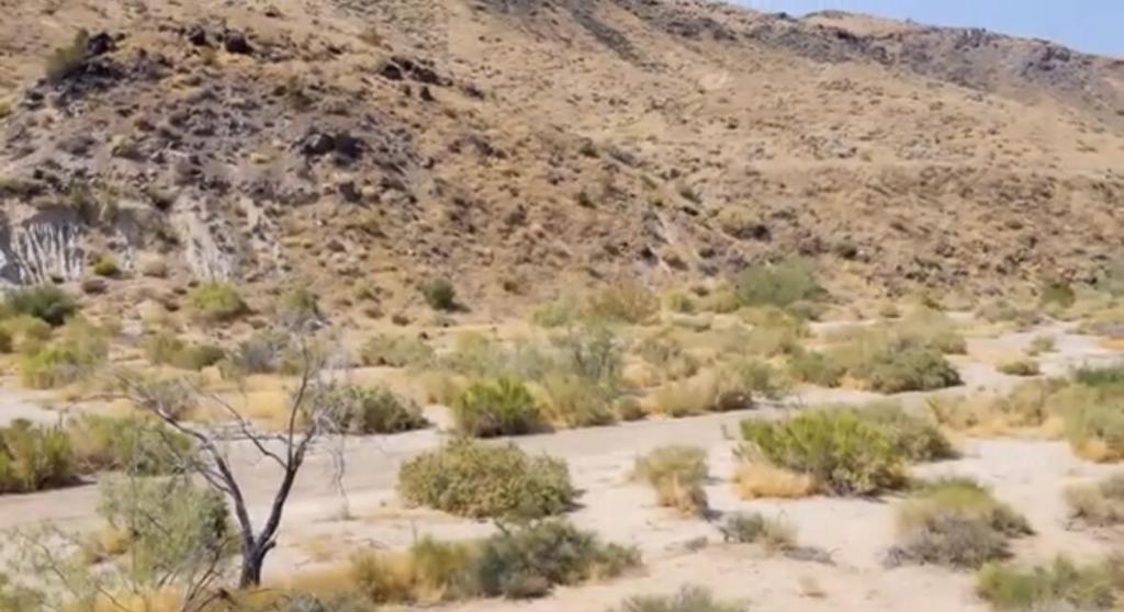 MLS #219125707DA image #38