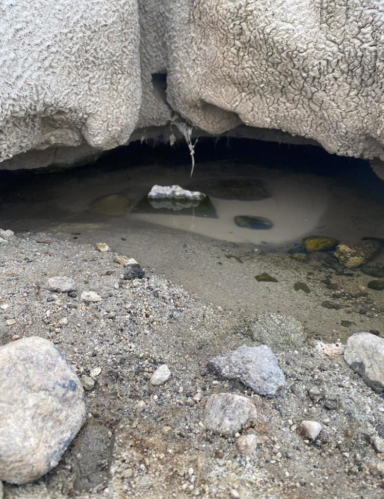 MLS #219125707DA image #4