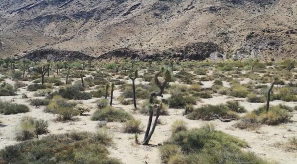 MLS #219125707DA image #40