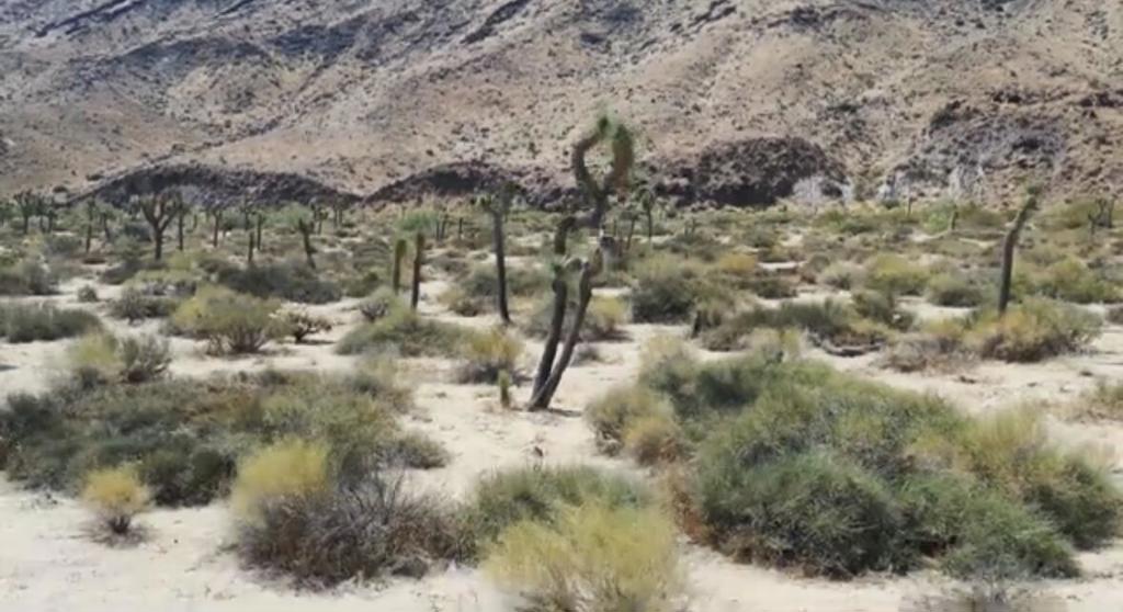 MLS #219125707DA image #41