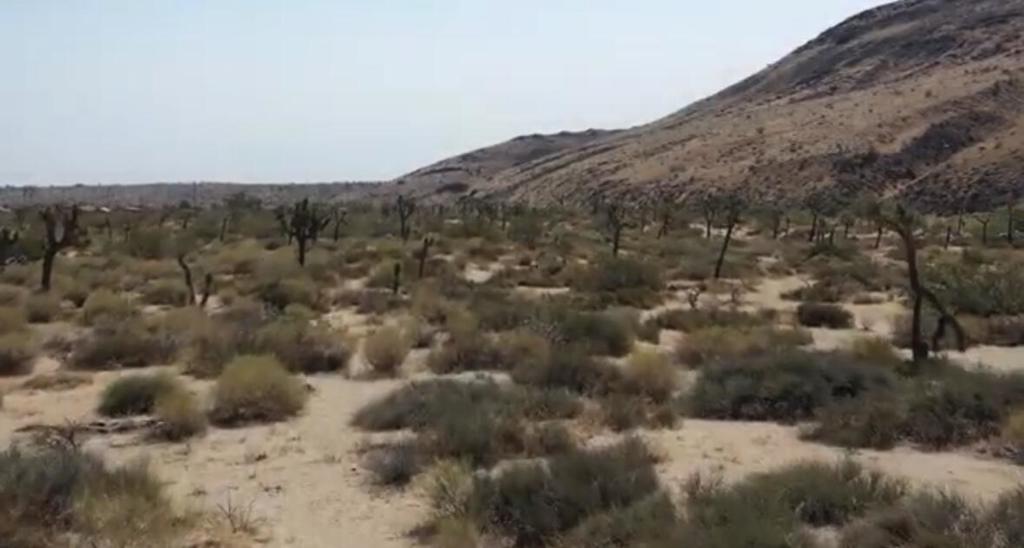 MLS #219125707DA image #42