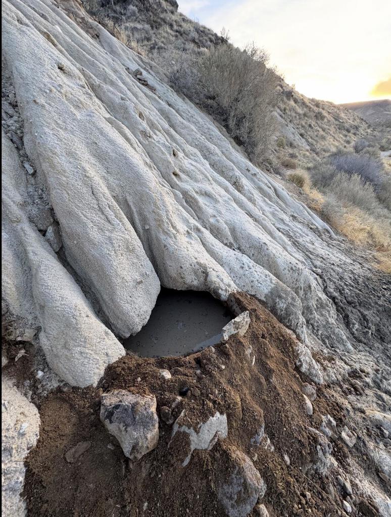 MLS #219125707DA image #5