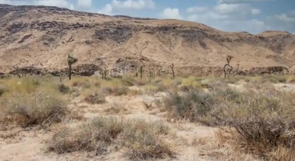 MLS #219125707DA image #6