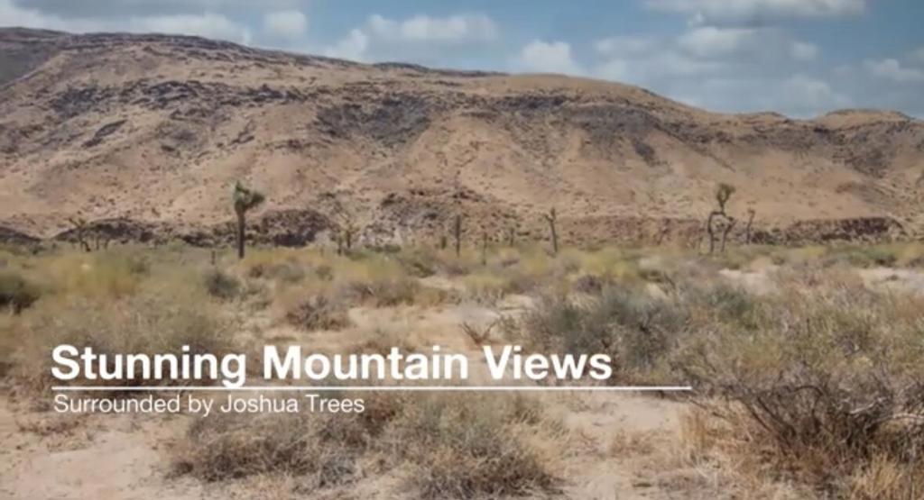 MLS #219125707DA image #8