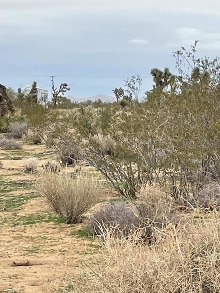 MLS #219125786DA image #1