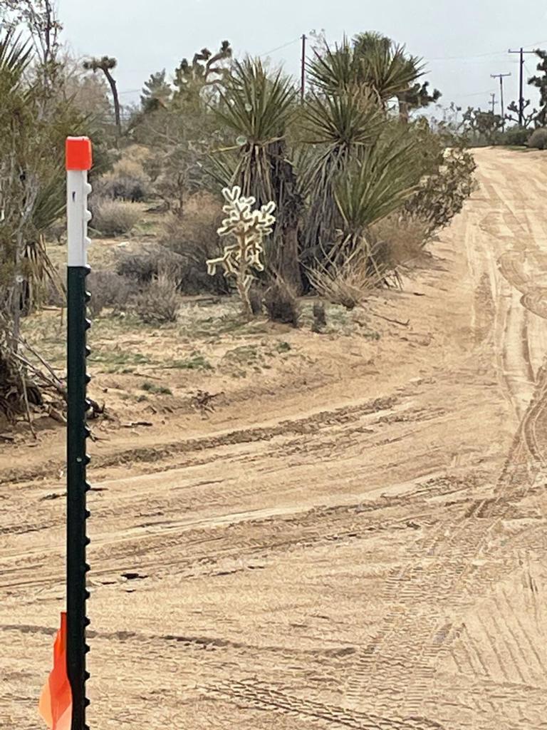 MLS #219125786DA image #10