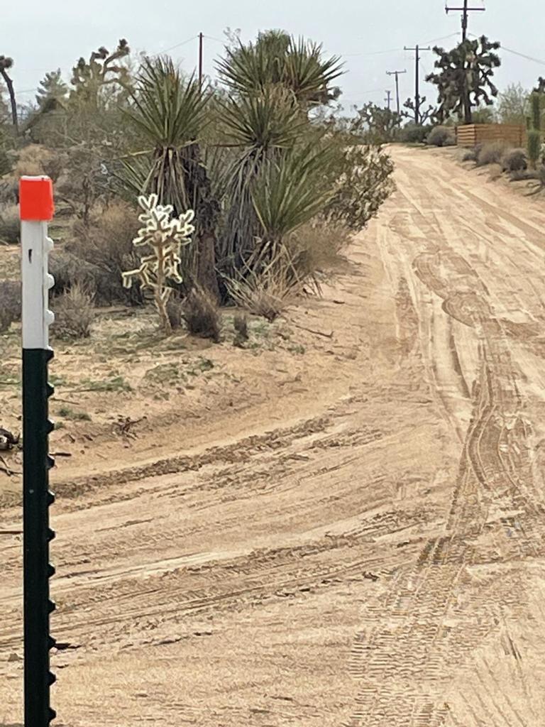 MLS #219125786DA image #11