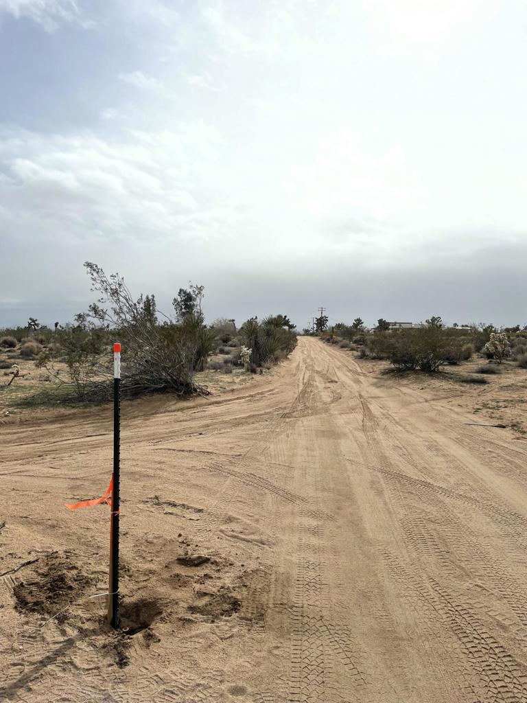 MLS #219125786DA image #12