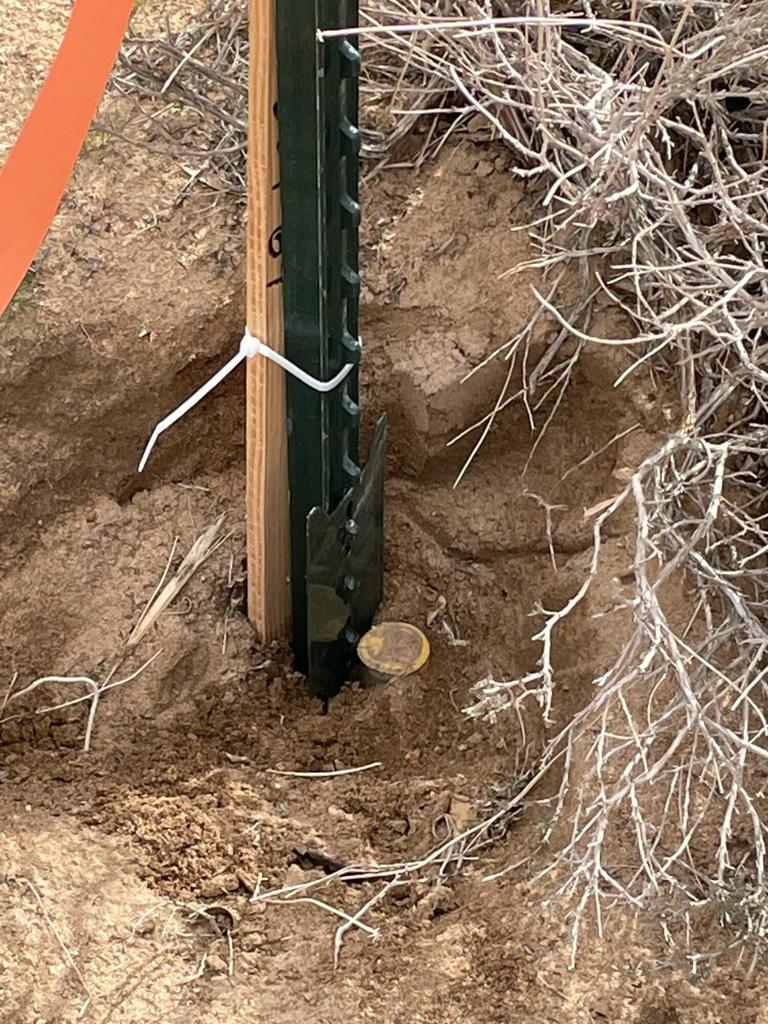 MLS #219125786DA image #13