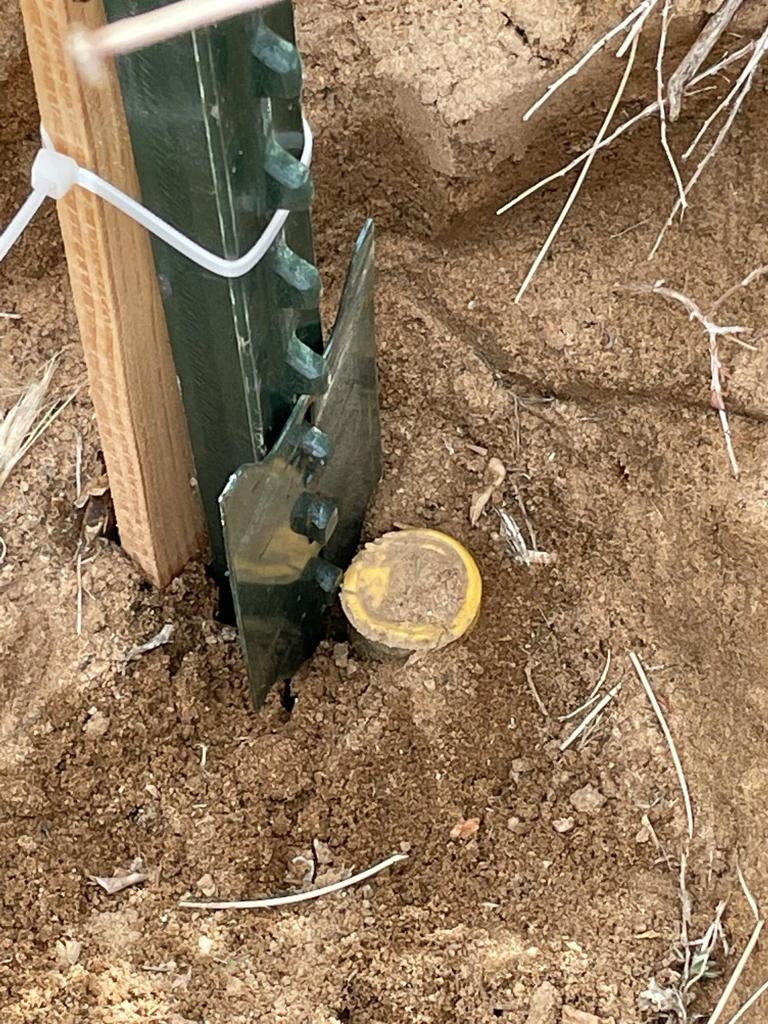 MLS #219125786DA image #14