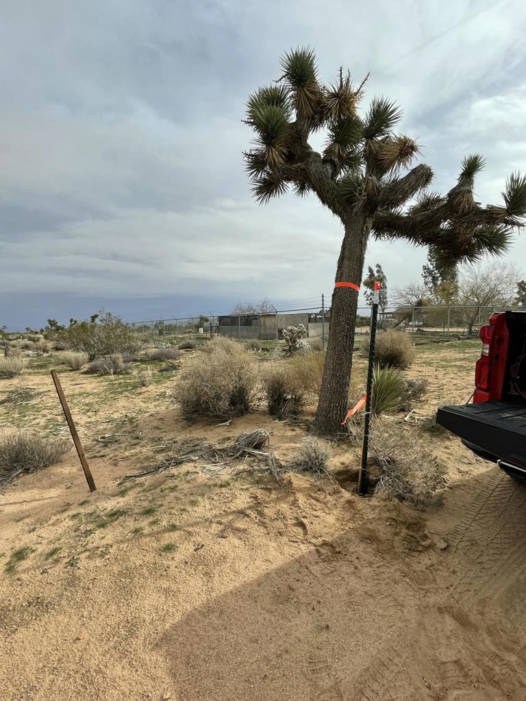 MLS #219125786DA image #15