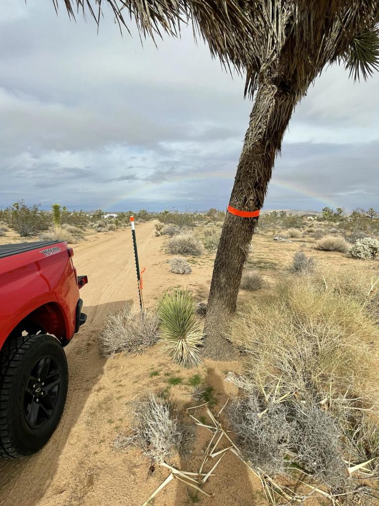 MLS #219125786DA image #16