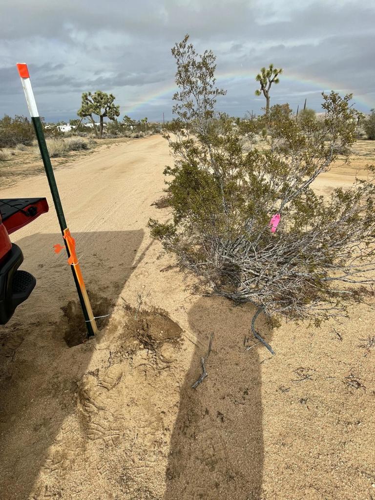 MLS #219125786DA image #19