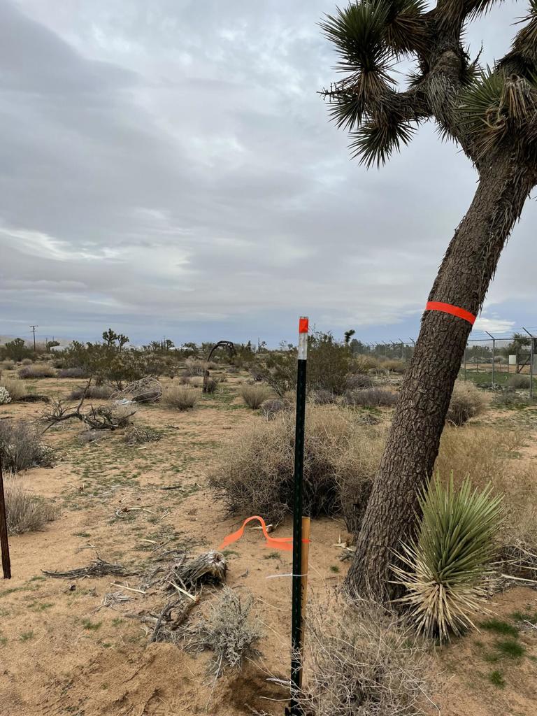 MLS #219125786DA image #2