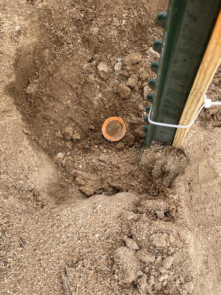 MLS #219125786DA image #20