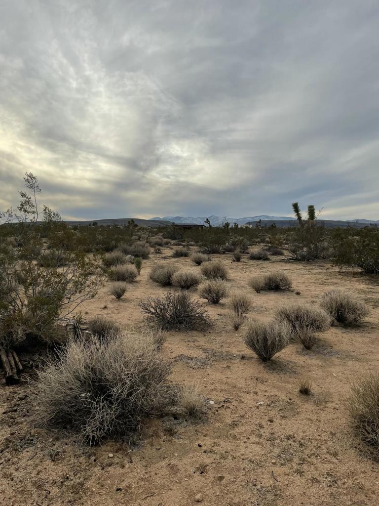 MLS #219125786DA image #22