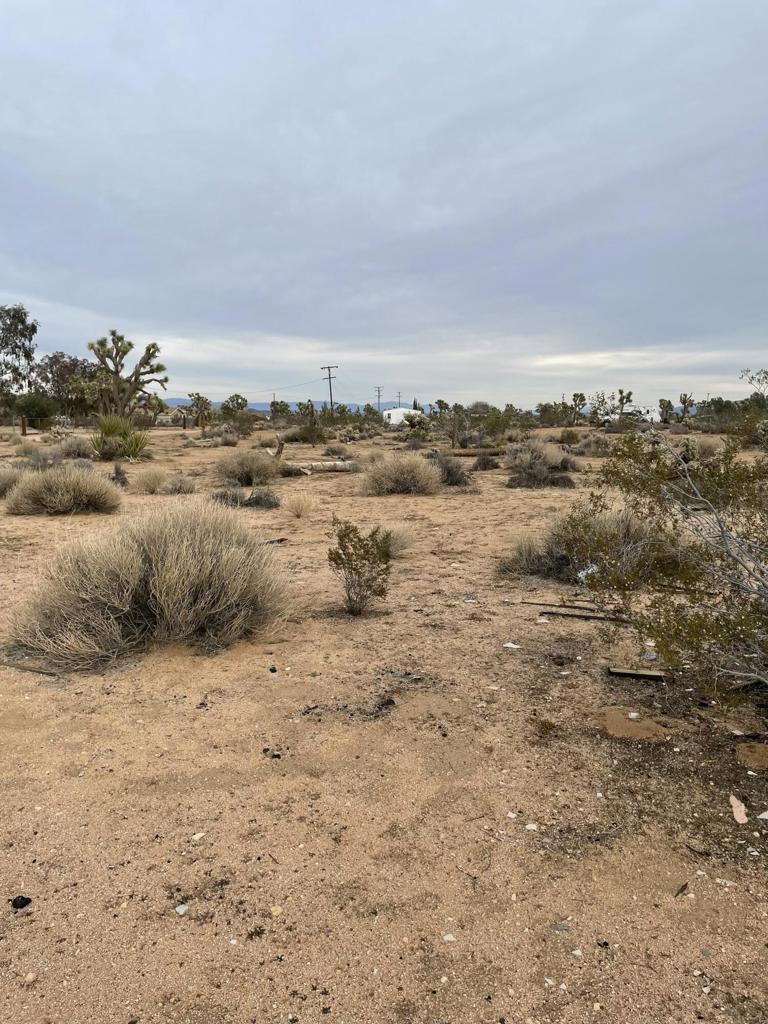 MLS #219125786DA image #23