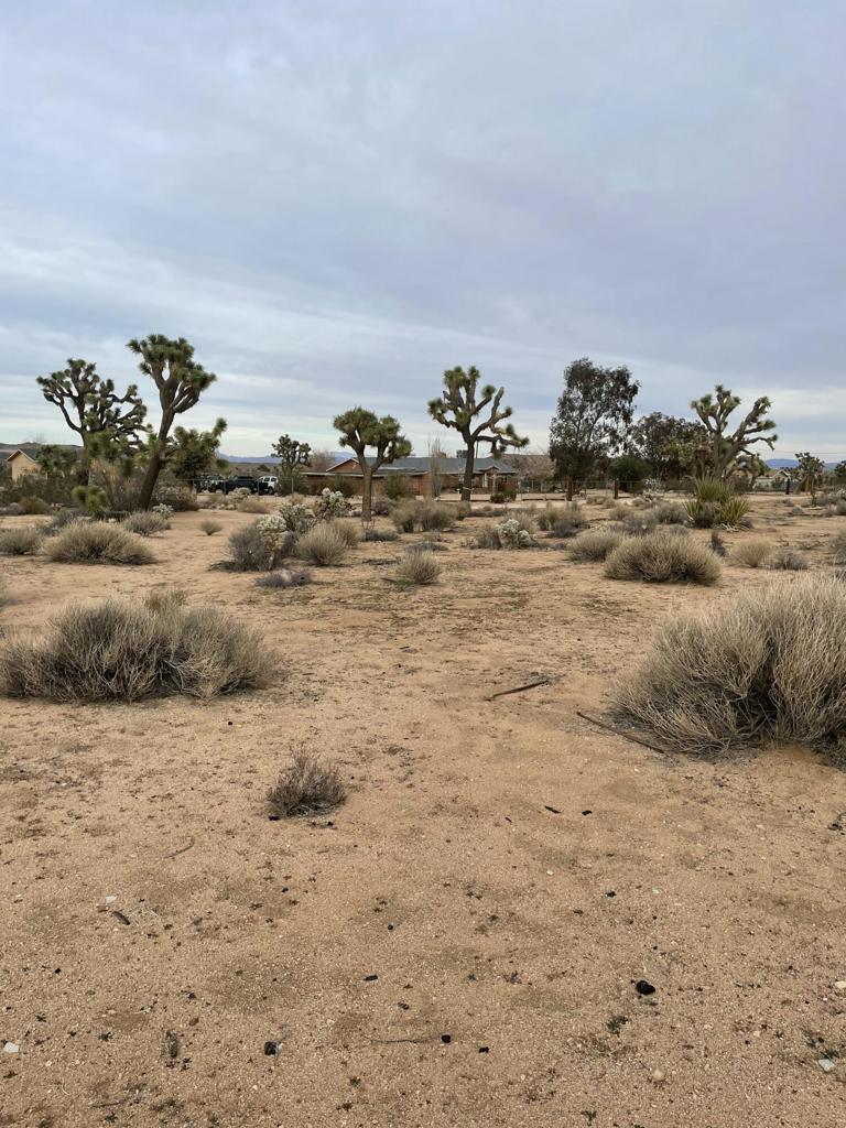 MLS #219125786DA image #25