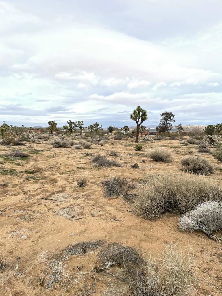 MLS #219125786DA image #3