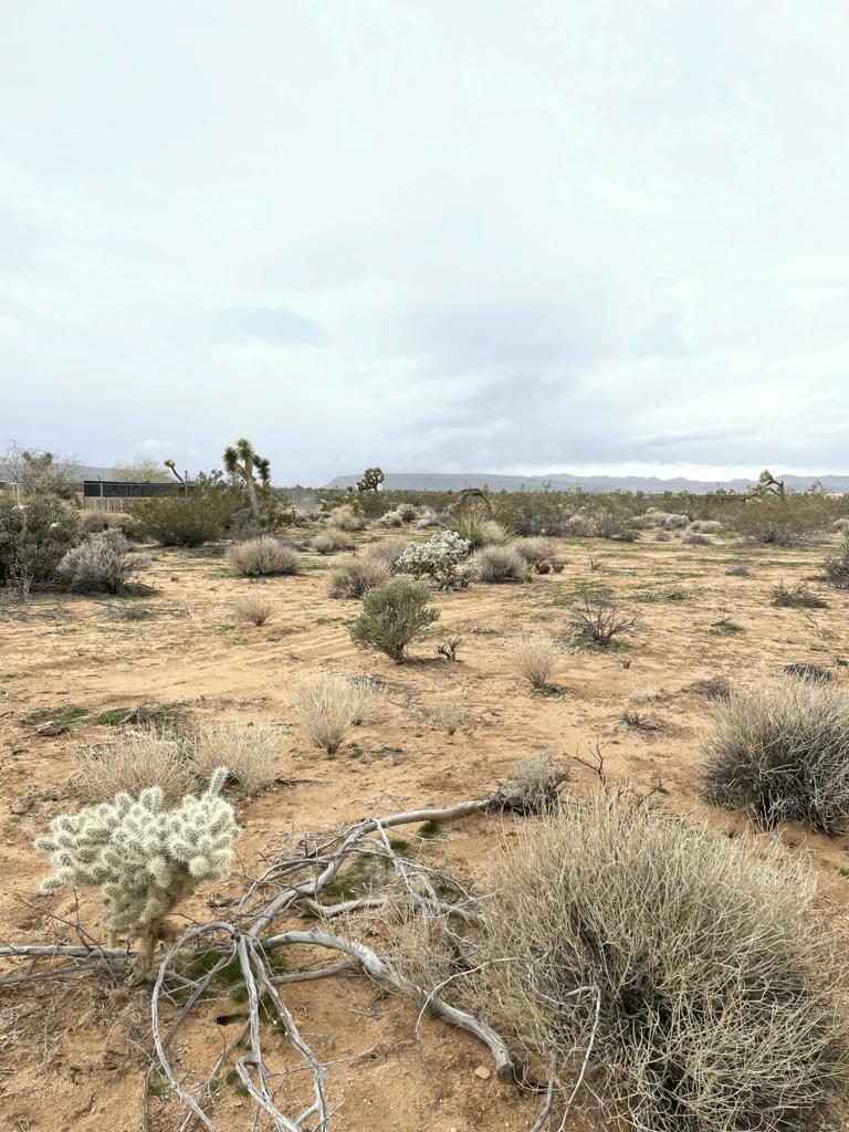 MLS #219125786DA image #4