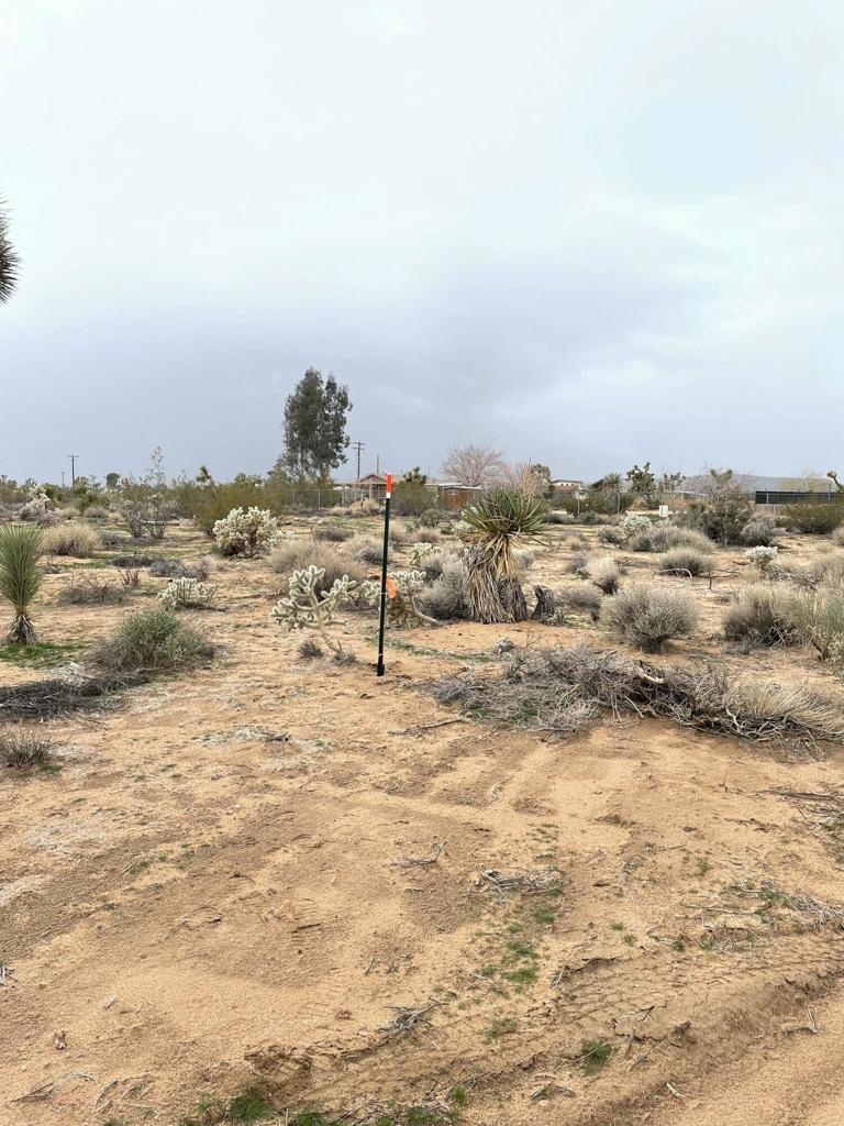 MLS #219125786DA image #6