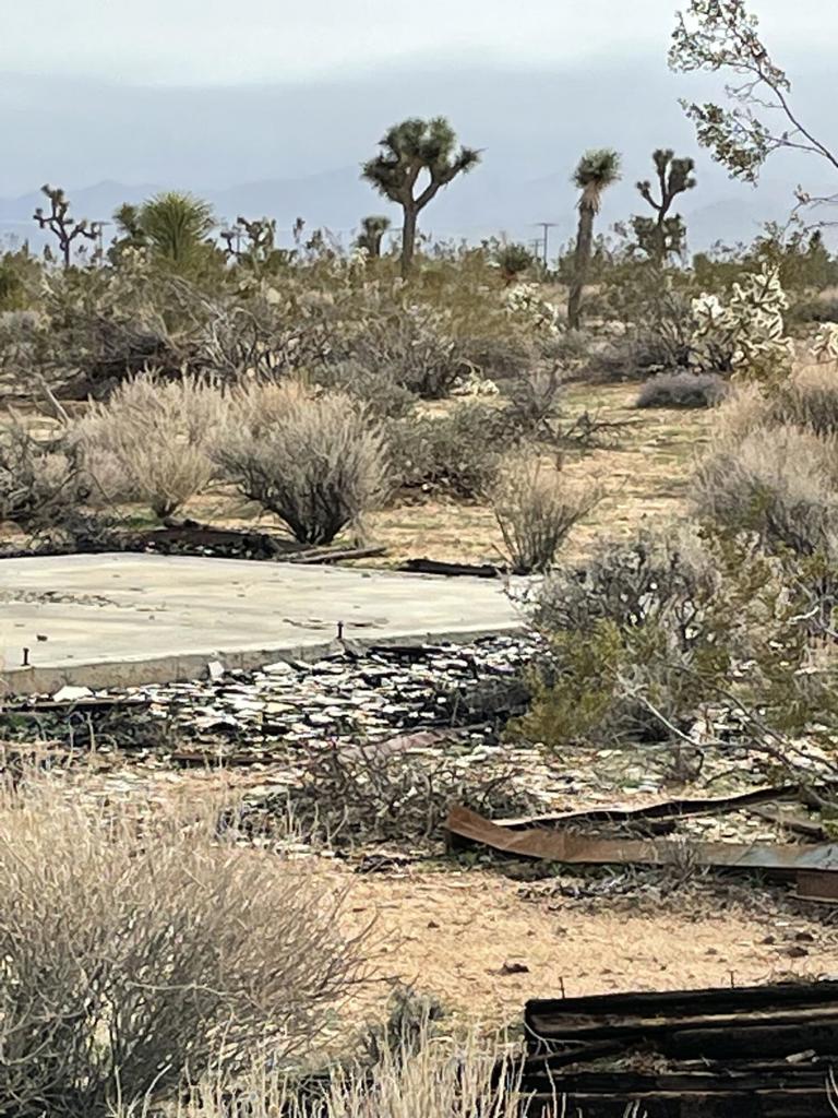 MLS #219125786DA image #8