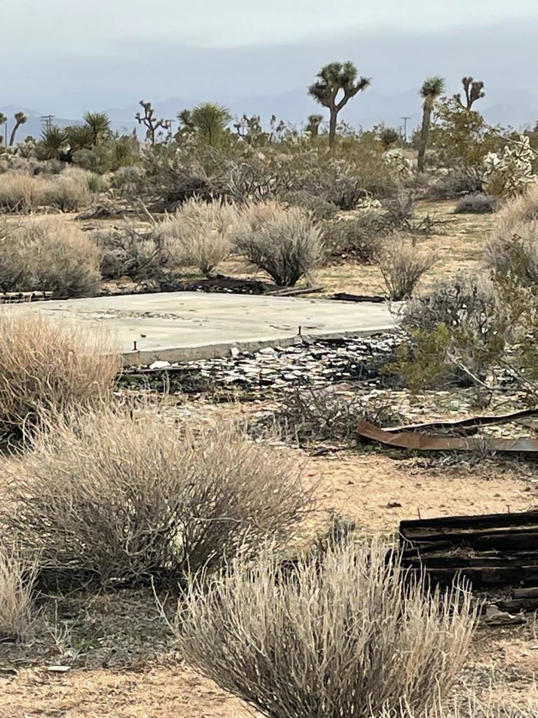 MLS #219125786DA image #9