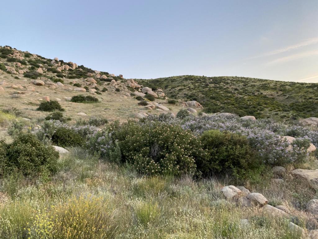 MLS #219125939DA image #12