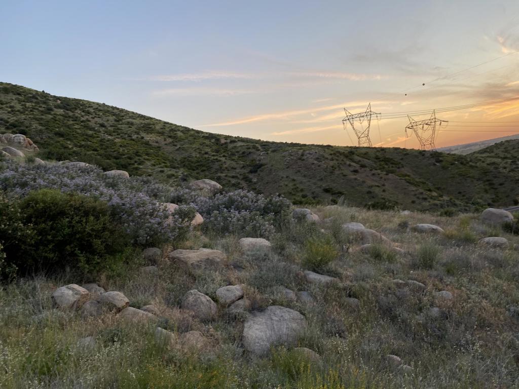 MLS #219125939DA image #2