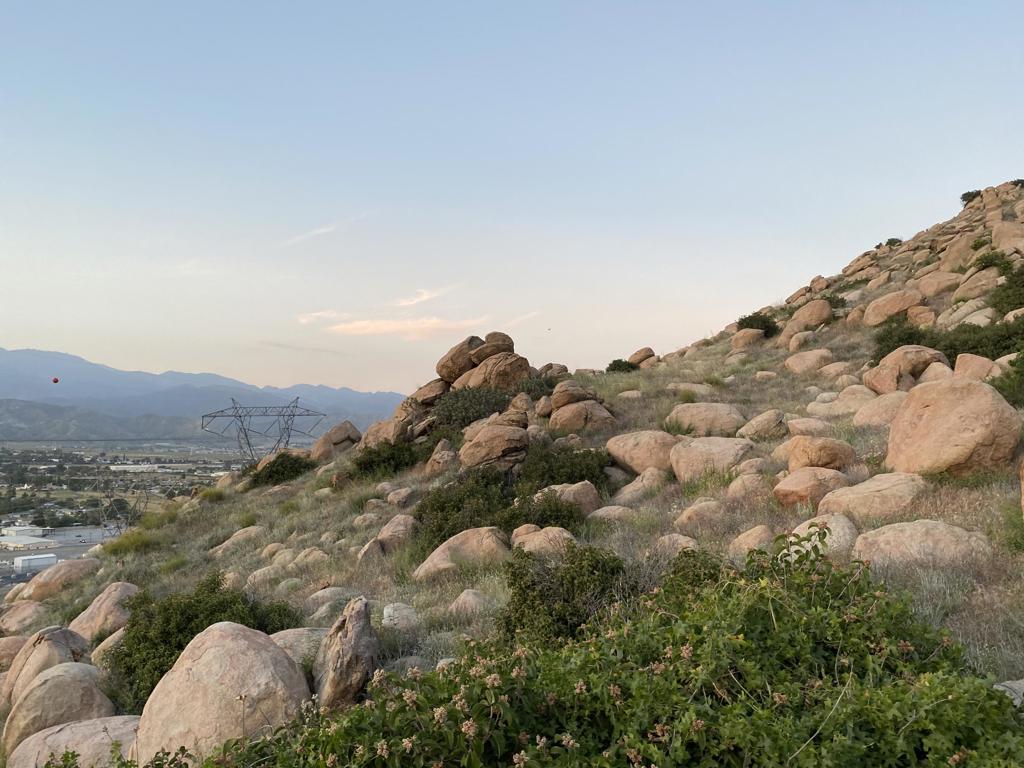 MLS #219125939DA image #7