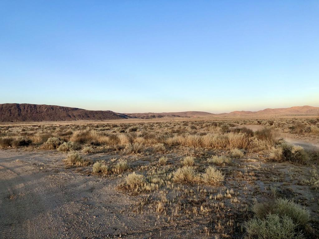 MLS #219126039DA image #1