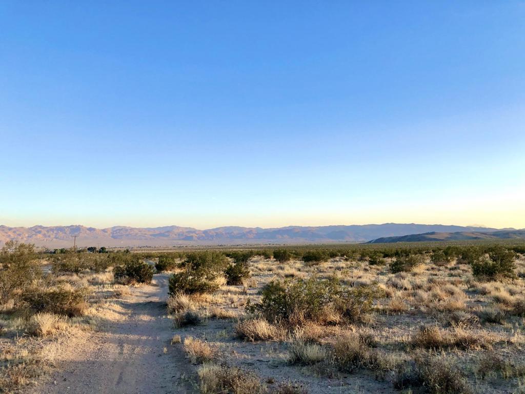 MLS #219126039DA image #2