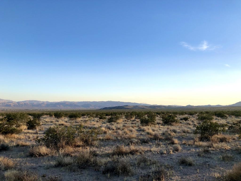 MLS #219126039DA image #3