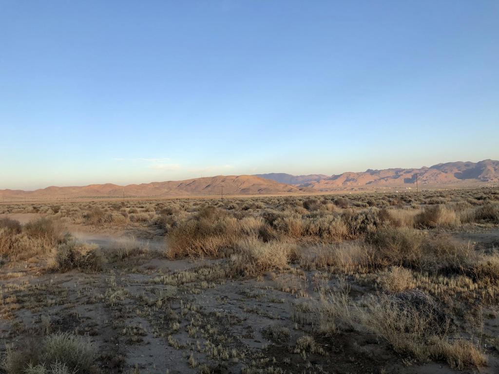 MLS #219126039DA image #4