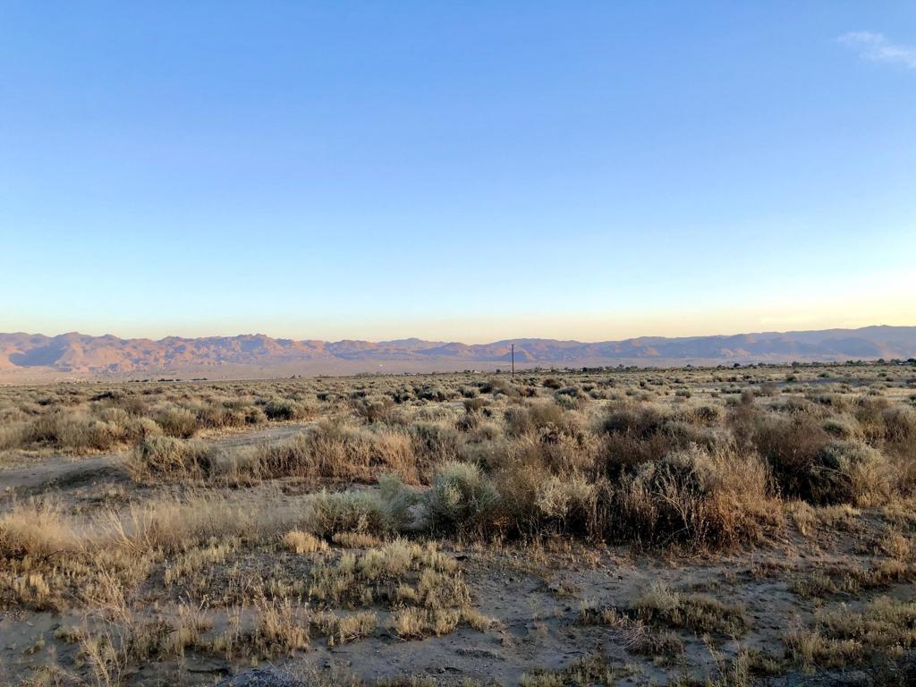 MLS #219126039DA image #5