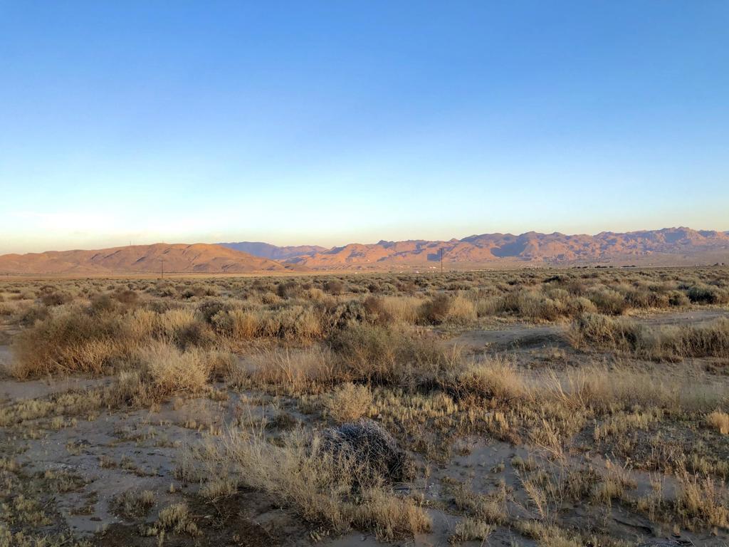 MLS #219126039DA image #6