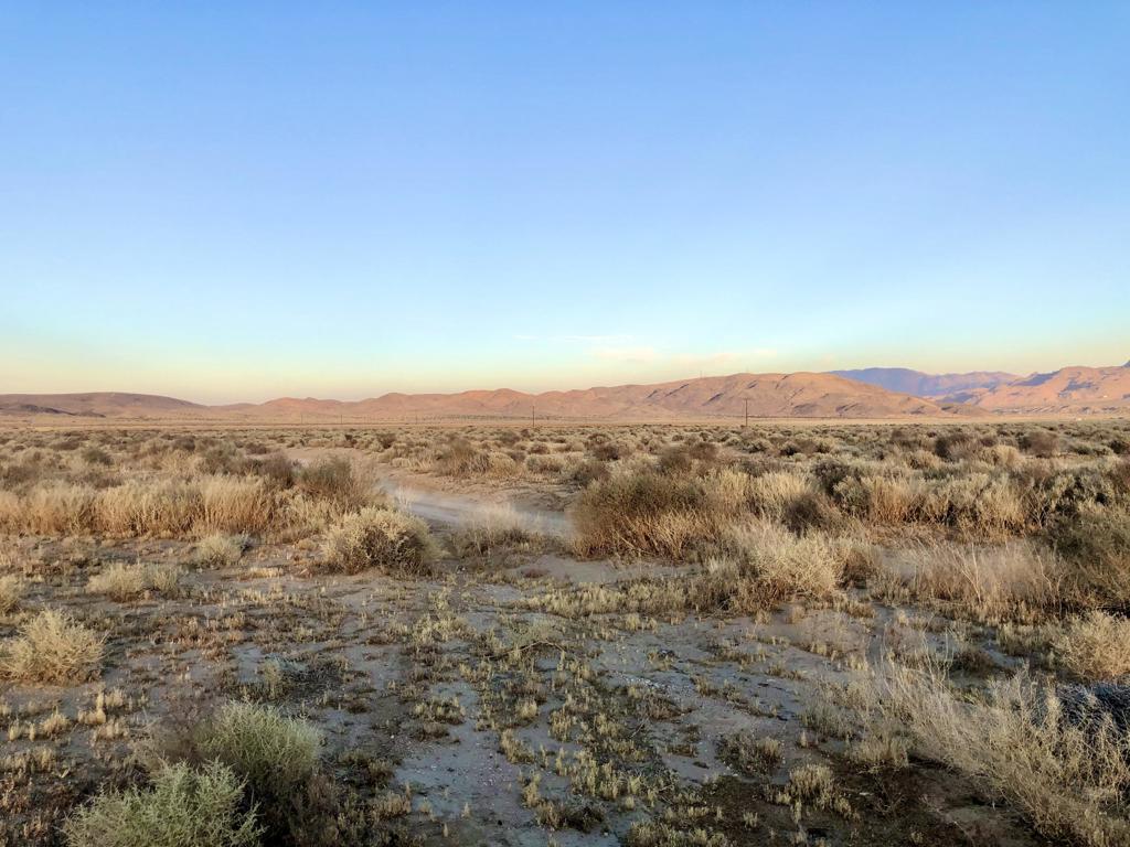 MLS #219126039DA image #7