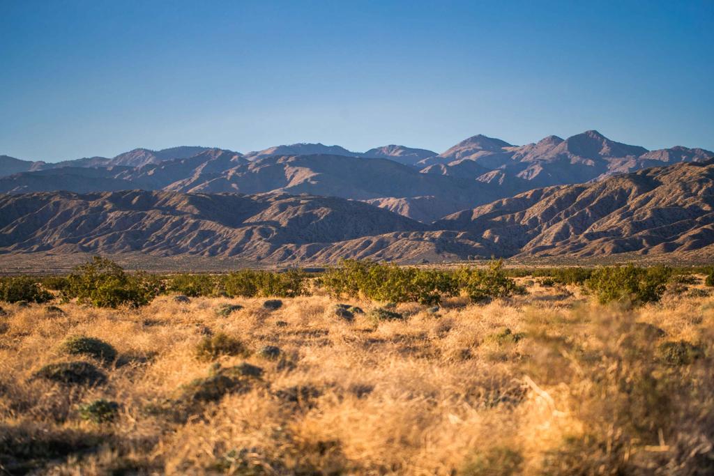 MLS #219126052DA image #6