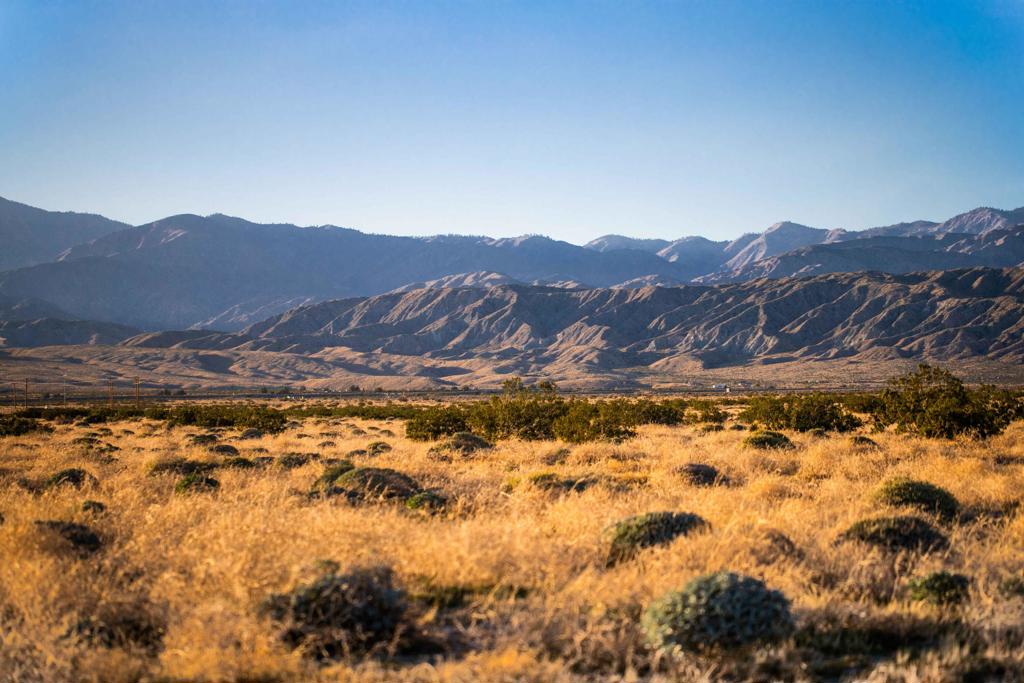 MLS #219126052DA image #7