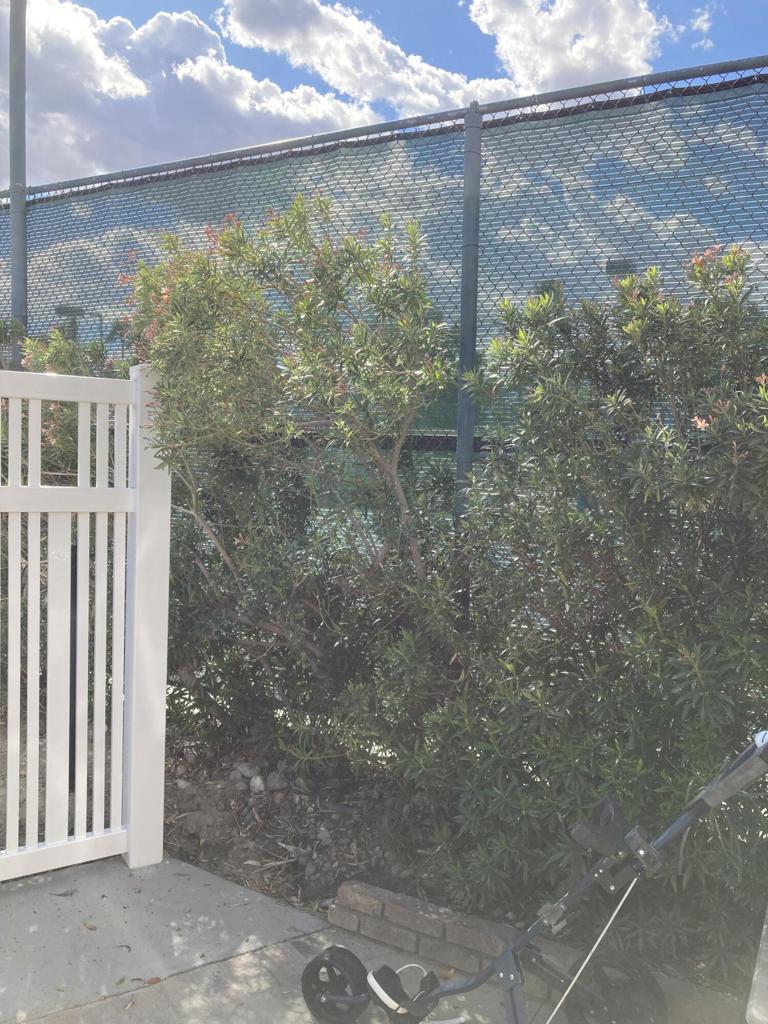 MLS #219126095DA image #4