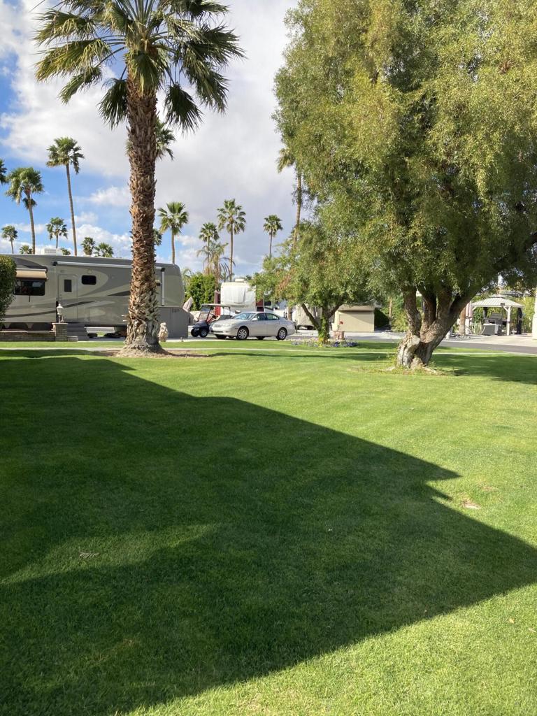 MLS #219126095DA image #7