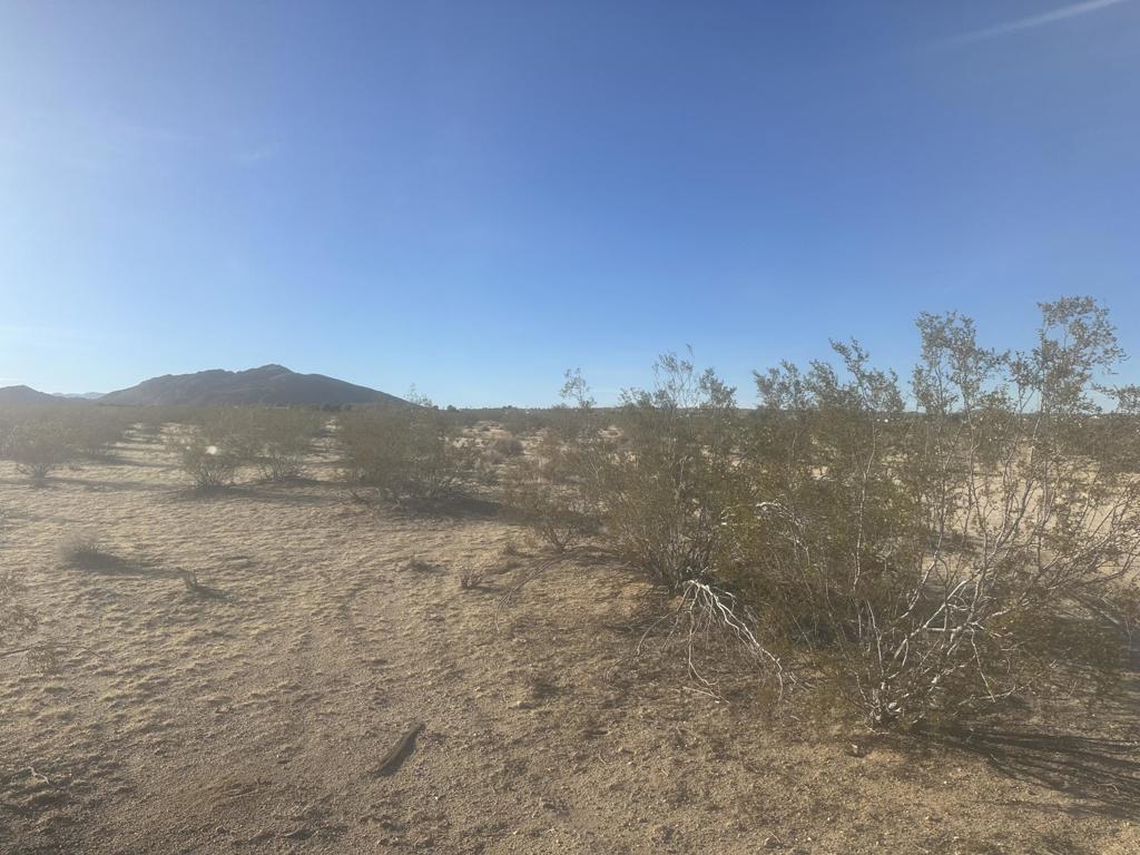 MLS #219126361DA image #2