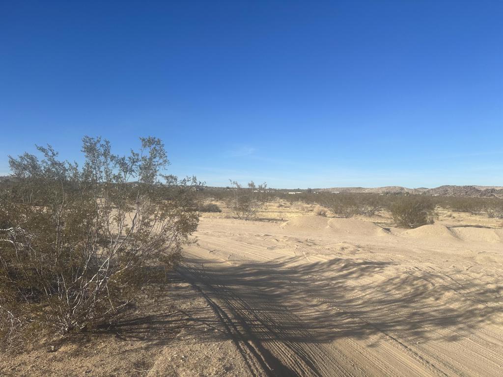 MLS #219126361DA image #3