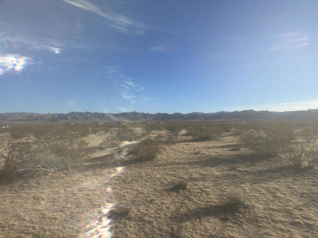 MLS #219126361DA image #4