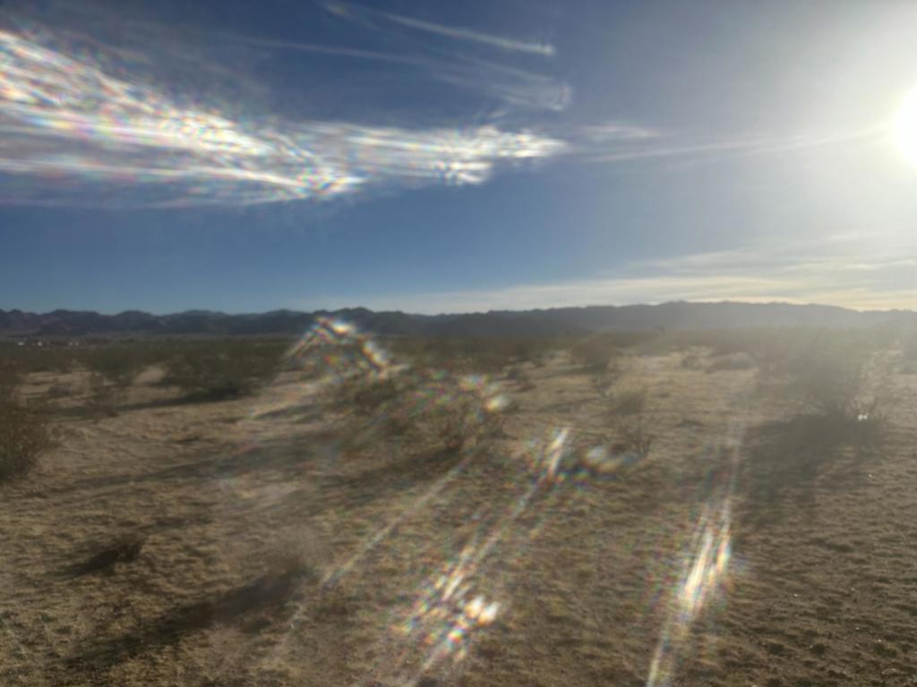 MLS #219126361DA image #5