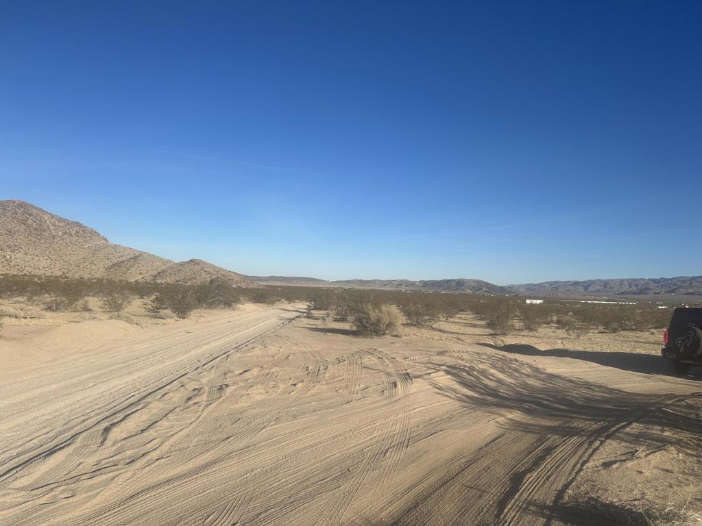 MLS #219126361DA image #6