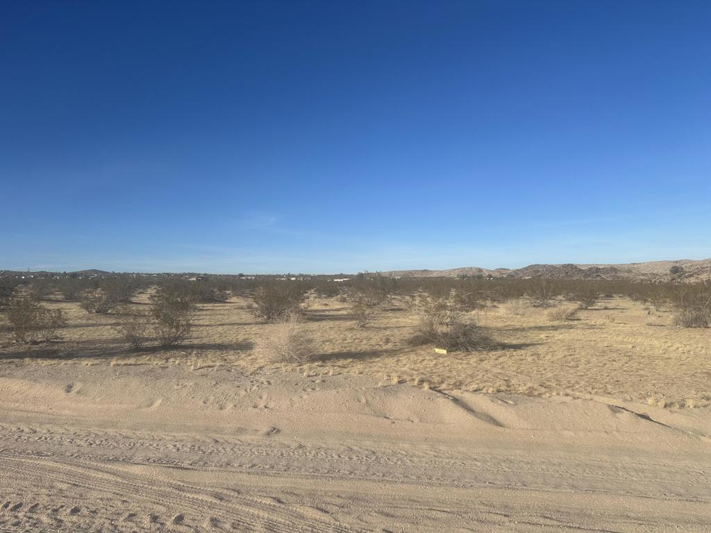 MLS #219126361DA image #7